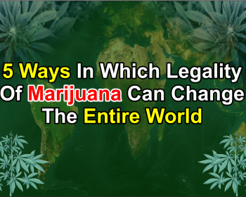 Legality Of Marijuana