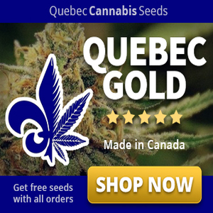quebeccannabisseeds