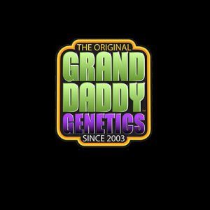 Grand Daddy Genetics
