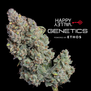 Happy Valley Genetics