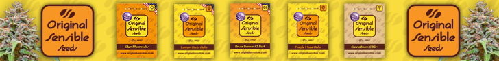 Original Sensible Seeds