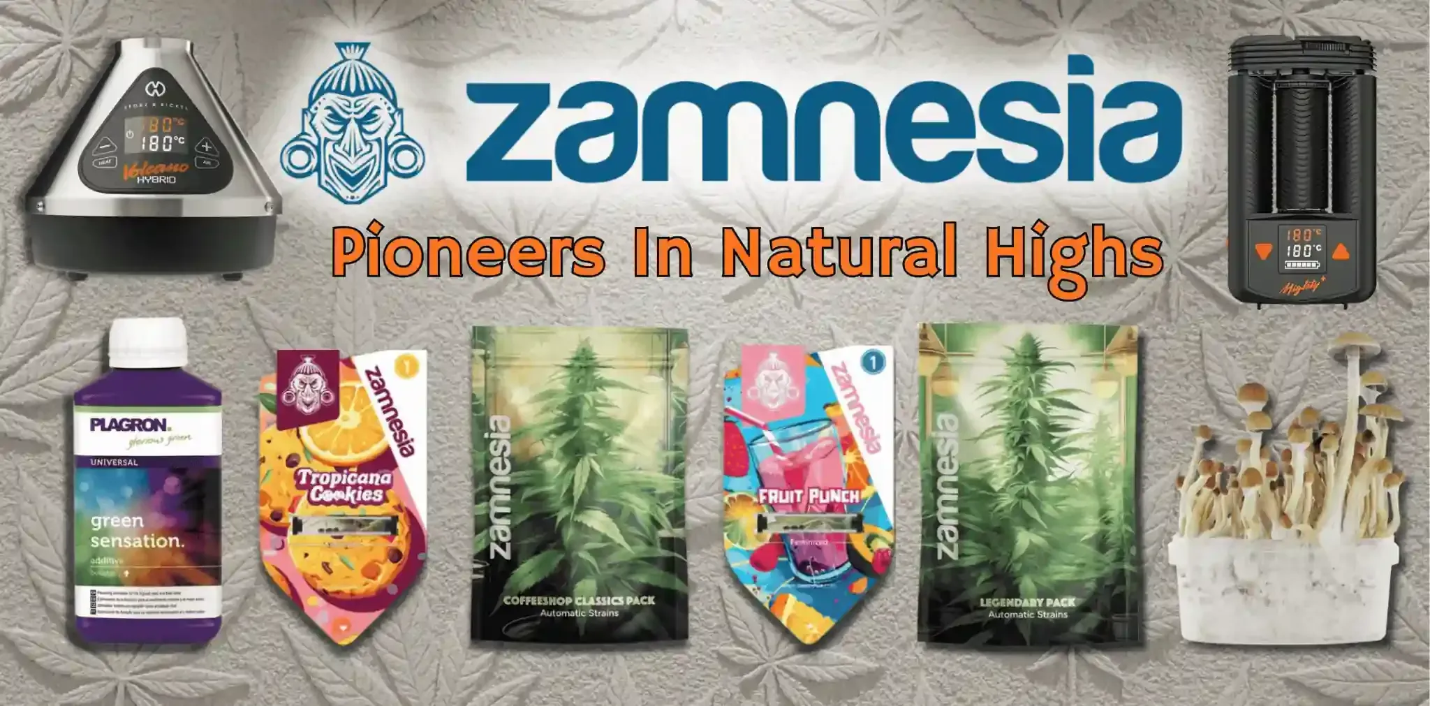 zamnesia-ilovegrowing