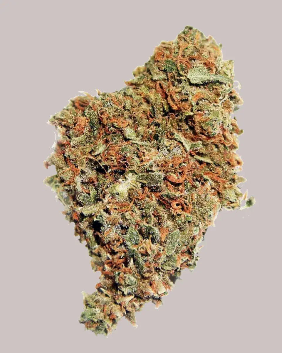 White Widow Autoflower Seeds
